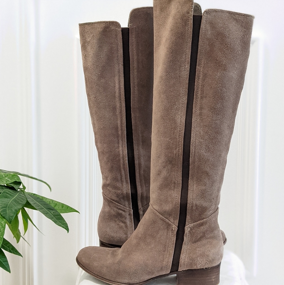 Steve Madden knee high suede boots